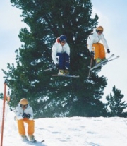 Skisoort Skicross ski